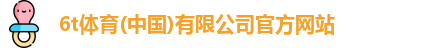 6t